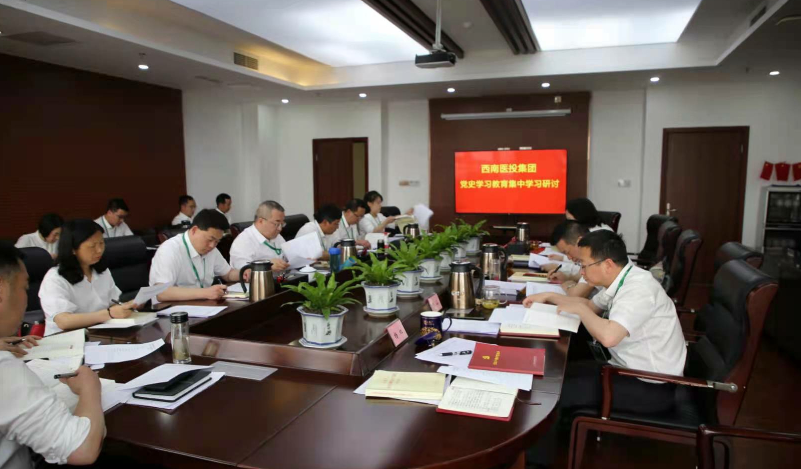 西南醫投集團開展黨史學習教育集中學習研討   